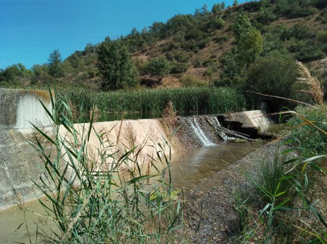 AMREEB y la Cátedra del Tajo UCLM-SOLISS inician un estudio para la restauración fluvial del río Ompolveda en el municipio de Pareja (Guadalajara) - 2, Foto 2