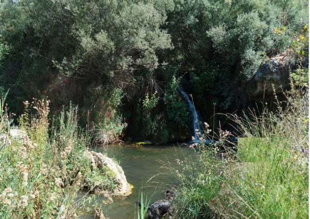 AMREEB y la Cátedra del Tajo UCLM-SOLISS inician un estudio para la restauración fluvial del río Ompolveda en el municipio de Pareja (Guadalajara) - 3, Foto 3