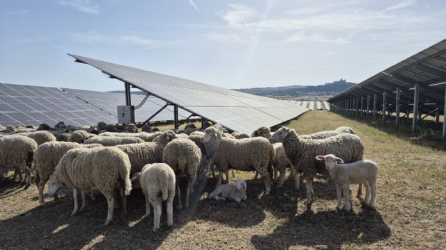 Iberdrola impulsa la electrificación de la industria con ocho proyectos que movilizarán 150 MW renovables - 2, Foto 2