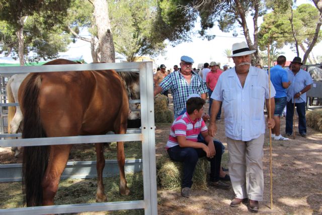 Abre sus puertas la CCXX Real Feria de Ganado de San Pedro del Pinatar - 3, Foto 3