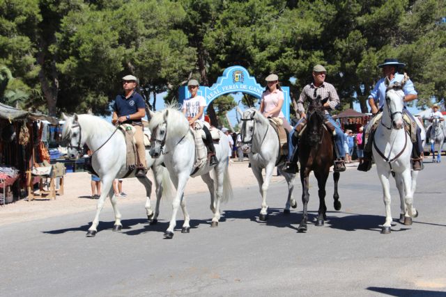 Carros, calesas y jinetes desfilan por las calles de San Pedro en el XIV Encuentro de Carruajes Ganado - 2, Foto 2
