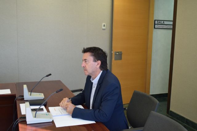 Ciudadanos interpela al consejero de Salud para que explique porqué los contratos de vacaciones del personal del SMS son temporales y no de sustitución - 1, Foto 1