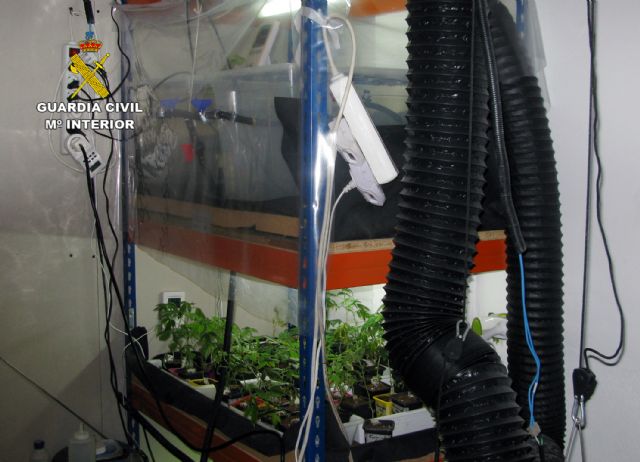 La Guardia Civil desmantela en Murcia dos invernaderos clandestinos de marihuana - 1, Foto 1