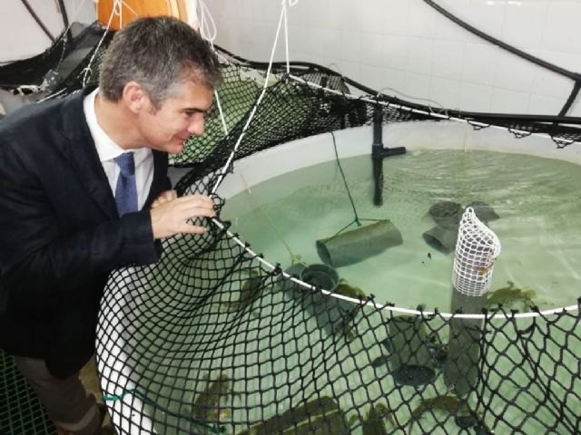 Los empresarios acuícolas contarán con un tercer polígono en la costa de Lorca - 1, Foto 1