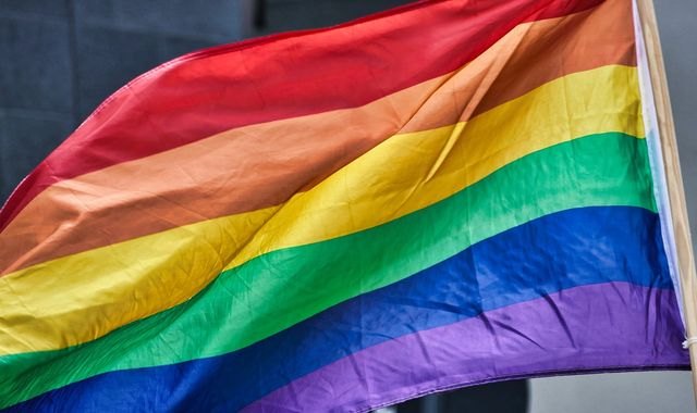 VOX: Oponerse a la mafia arcoíris no es homofobia - 1, Foto 1