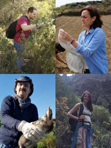 La dispersión de semillas por aves a través del Mediterráneo explica la estructura genética de un arbusto en Europa y África, según la UMU - 1, Foto 1