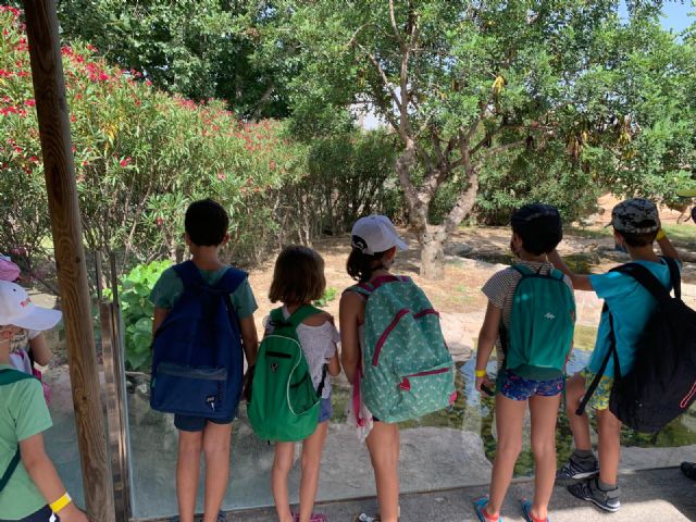 El Ayuntamiento y Terra Natura Murcia lanzan hoy el Campus de Verano para adolescentes - 1, Foto 1