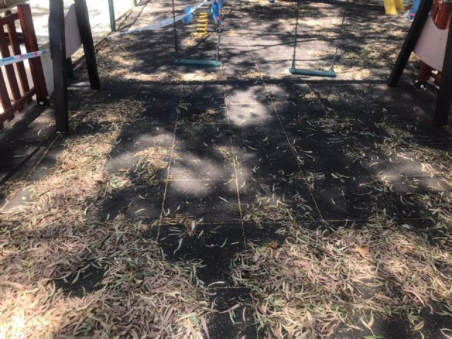 El PP denuncia que los chapuceros desbroces encargados por el alcalde del PSOE comienzan a provocar incendios y problemas de seguridad en los caminos - 5, Foto 5