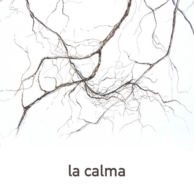 Miotonía presenta el single “La Calma” - 2, Foto 2