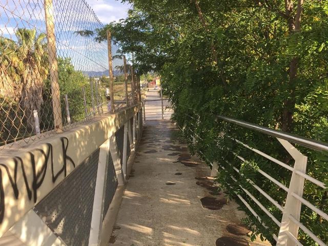 El estado de abandono y suciedad en las calles, parques y jardines, tema sobre el que el PP preguntará en un próximo Pleno - 4, Foto 4