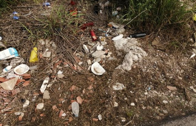 El estado de abandono y suciedad en las calles, parques y jardines, tema sobre el que el PP preguntará en un próximo Pleno - 5, Foto 5