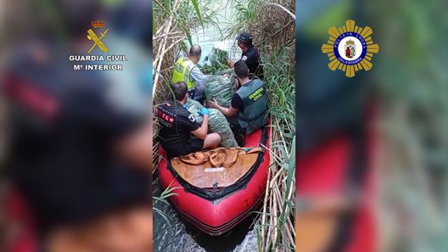 Desmantelan una gran plantación de marihuana en una zona montañosa de Calasparra - 5, Foto 5