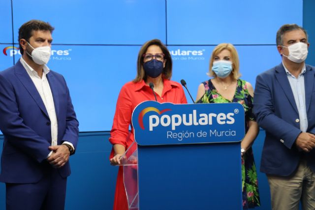 Borrego: Sánchez debe dimitir y convocar elecciones por sus mentiras, atropellos democráticos y por la negligencia en la gestión sanitaria, económica y social - 1, Foto 1