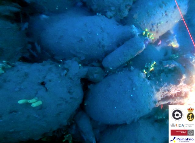 CORI presenta en ARQUA los resultados preliminares del Proyecto Aladroque - 1, Foto 1