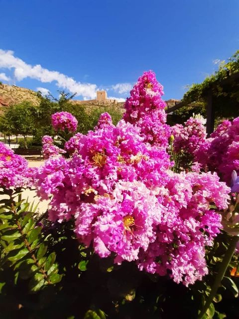 La concejalía de Parques y Jardines realiza la plantación de diferentes variedades de flores, muy resistentes al calor, en las zonas verdes del municipio - 3, Foto 3