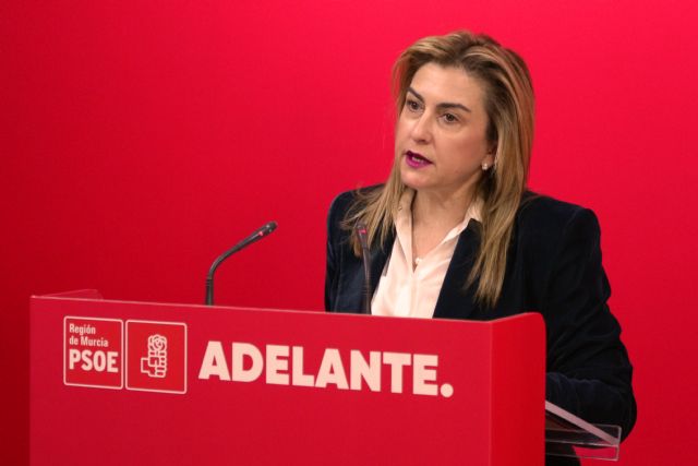 Carmina Fernández: La ZAL estaba perdida por el incumplimiento del Gobierno regional - 1, Foto 1