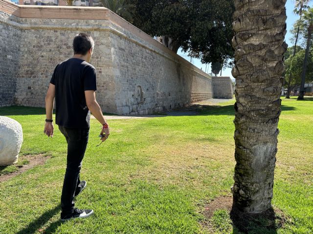 MC insta al Gobierno local a acometer las actuaciones necesarias para dignificar el estado de la muralla de Carlos III - 1, Foto 1