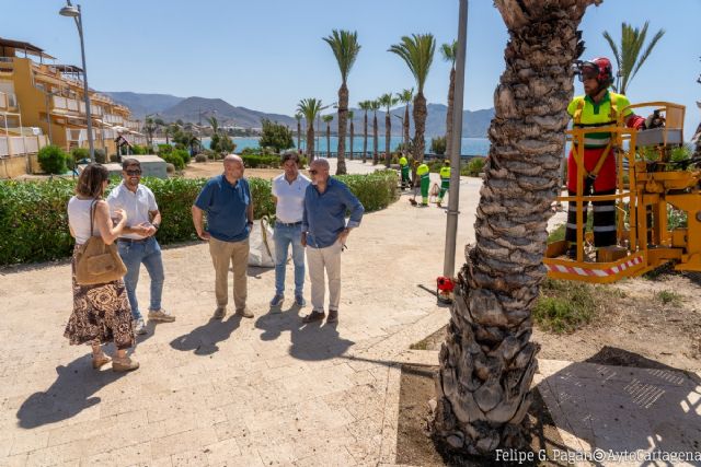 La nueva empresa de jardinería ya trabaja en más de diez hectáreas del litoral oeste de Cartagena - 1, Foto 1