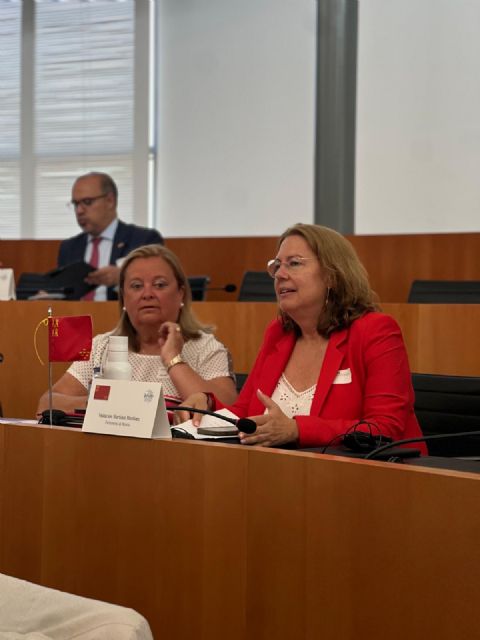 Visitación Martínez: “Reivindicamos que la escasez estructural de agua sea criterio prioritario en la distribución de fondos europeos” - 2, Foto 2