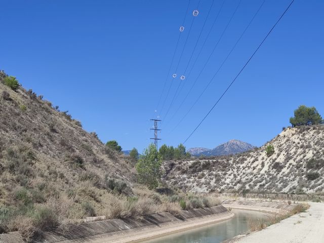 La CHS instalará medidas protectoras para las aves en las líneas eléctricas del postrasvase - 1, Foto 1