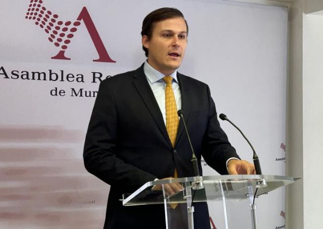 VOX reclama seguridad jurídica para los festivales y denuncia la falta de liderazgo del Gobierno regional - 1, Foto 1