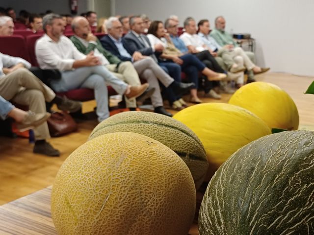 El melón de la Región de Murcia llega ya a 36 países y supera los 155 millones de euros en exportaciones - 2, Foto 2