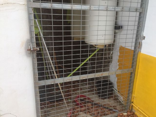 El PSOE denuncia las deplorables condiciones en las que tienen que jugar 200 niños en el campo de fútbol del Mayayo - 2, Foto 2