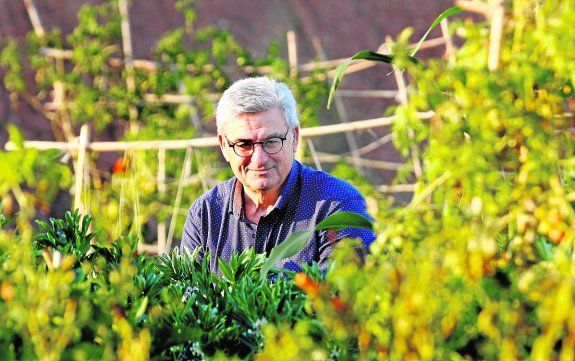 José María Egea Fernández pregonero de las Fiestas Patronales de Bullas - 1, Foto 1