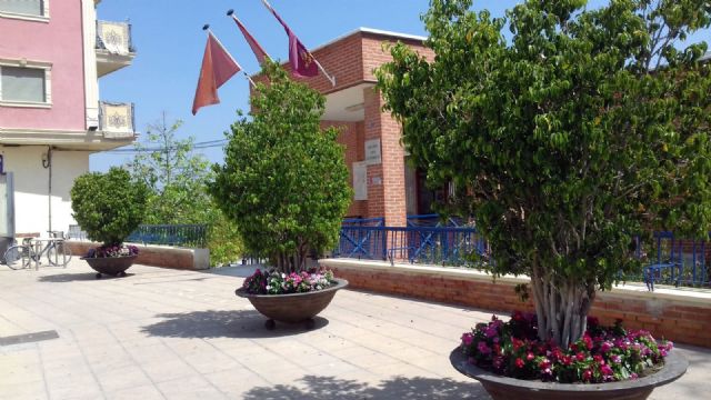 Cientos de flores de temporada adornan los jardines de El Esparragal con motivo de sus fiestas patronales - 1, Foto 1