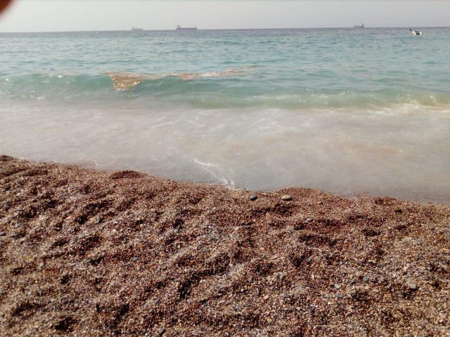Podemos preguntará sobre los vertidos en las playas de El Portús - 3, Foto 3