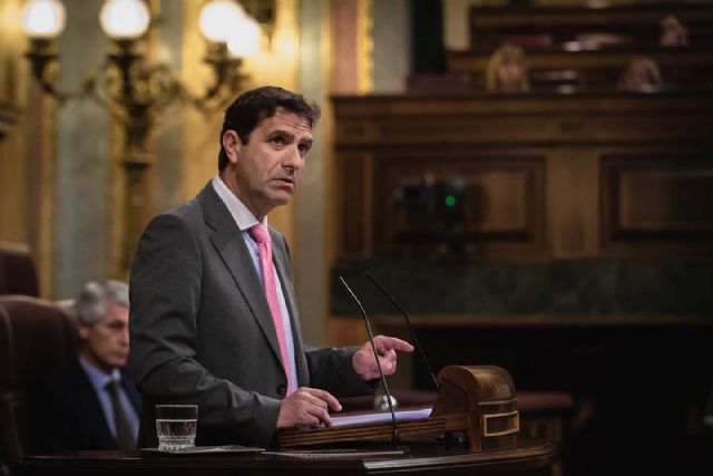 El PP plantea una iniciativa en el Congreso para potenciar el comercio electrónico con el fin de garantizar el suministro de productos en etapas de crisis o pandemias - 1, Foto 1