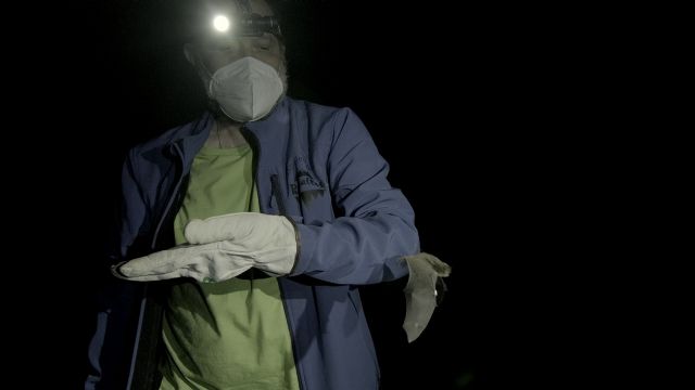 ANSE determina la importancia del embalse del Argos para un murciélago en peligro de extinción - 2, Foto 2