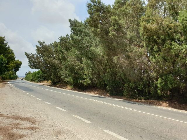 MC denunciará la desidia de los gobiernos local y murciano ante la inseguridad que representa un tramo de la RM-F36 - 1, Foto 1