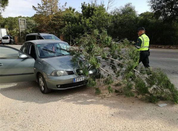 MC denunciará la desidia de los gobiernos local y murciano ante la inseguridad que representa un tramo de la RM-F36 - 2, Foto 2