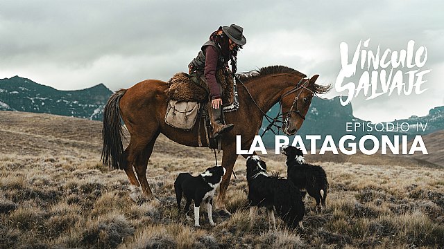 Vínculo Salvaje: un viaje por América para conocer el Vínculo entre el humano y el caballo - 3, Foto 3