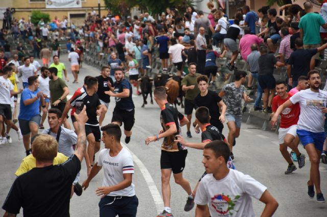 El encierro taurino joven de las fiestas de Calasparra pone a punto el recorrido para los grandes encierros que se vivirán a partir de este martes - 5, Foto 5