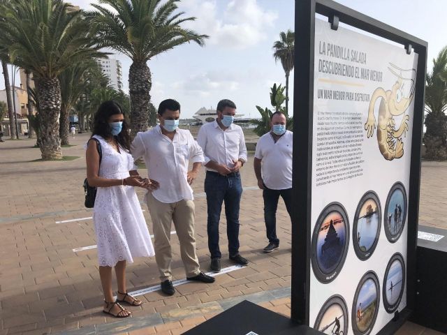 La pandilla salada, descubriendo el Mar Menor se convierte en la exposición más visitada del verano - 1, Foto 1