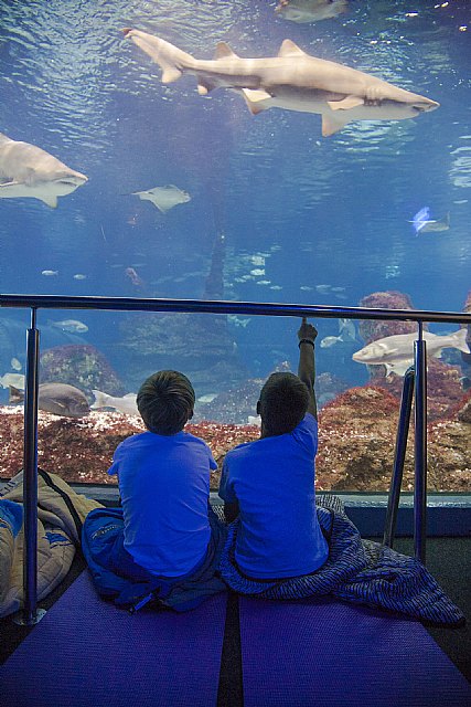 Una escapada con el agua como protagonista - 2, Foto 2