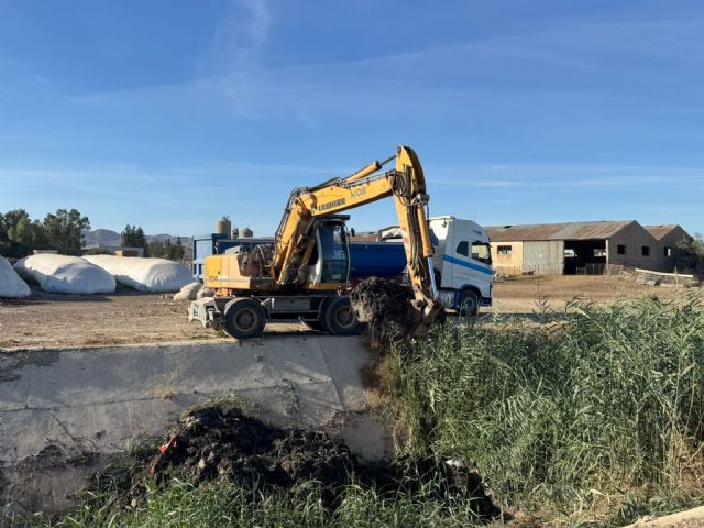 La limpieza de los tramos urbanos de los cauces de ríos y ramblas de Lorca llegan a su recta final - 5, Foto 5