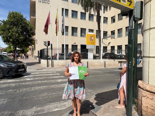 Vox exige al Gobierno refuerzos de la Guardia Civil y datos de delincuencia en Puerto Lumbreras - 1, Foto 1