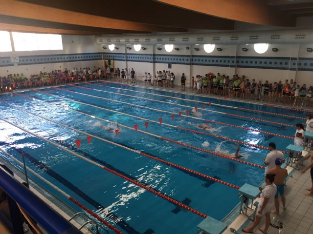 Casi 350 nadadores de toda la Región de Murcia participan en el VII Trofeo de Natación Ciudad de Lorca - 1, Foto 1