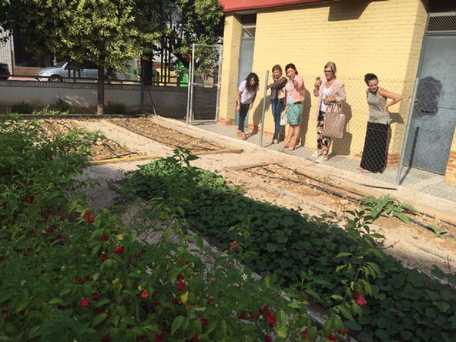 El Ayuntamiento de Molina de Segura invierte 100.000 euros en obras de mejora y adecuación en los colegios públicos - 1, Foto 1