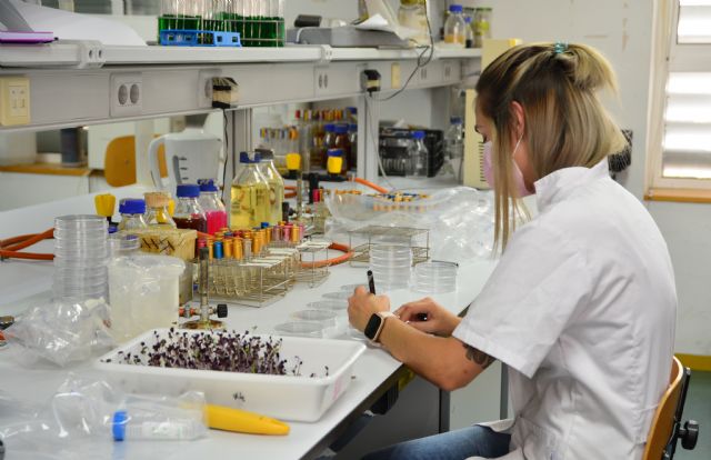 La Politécnica de Cartagena atrae a un 12% más de nuevos estudiantes, la mayor subida de su historia - 1, Foto 1