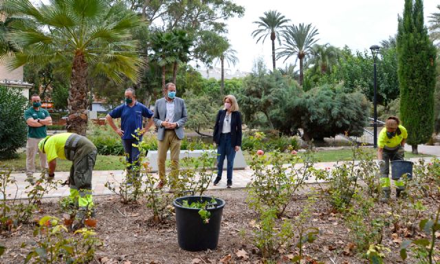 Miles de rosales son tratados para conseguir una mejor y mayor floración - 1, Foto 1