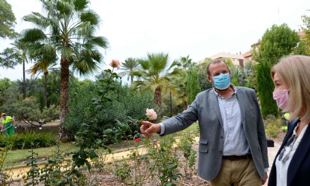 Miles de rosales son tratados para conseguir una mejor y mayor floración - 3, Foto 3