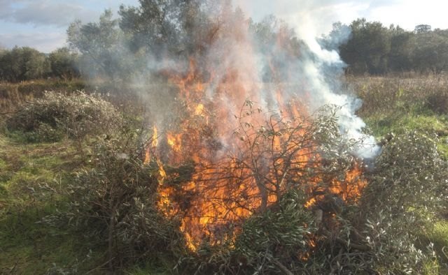 The Autonomous Community extends until February 28 the prohibition of burning agricultural prunings to minimize the impact of COVID-19