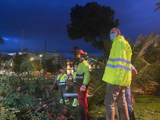 Parques y Jardines despliega un dispositivo especial para solventar las incidencias causadas por el fuerte viento - 1, Foto 1