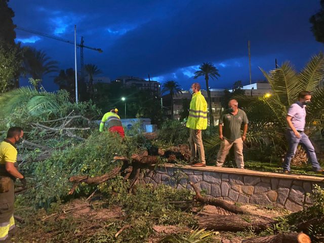 Parques y Jardines despliega un dispositivo especial para solventar las incidencias causadas por el fuerte viento - 2, Foto 2
