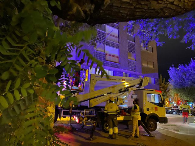 Parques y Jardines despliega un dispositivo especial para solventar las incidencias causadas por el fuerte viento - 4, Foto 4