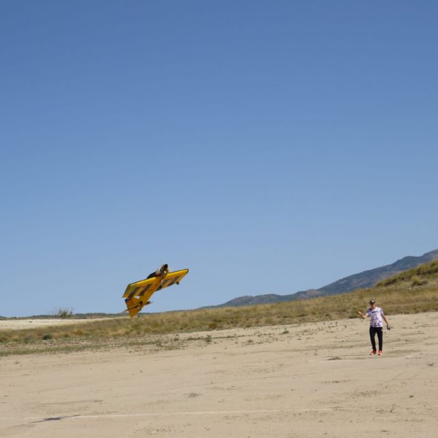Aeromodelos de todo tipo toman el cielo de Torrealvilla con 21 pilotos inscritos en la exhibición de vuelo - 1, Foto 1